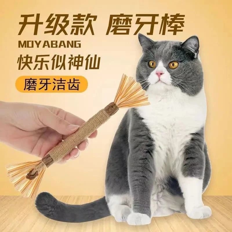 猫咪磨牙棒中文商品图原图