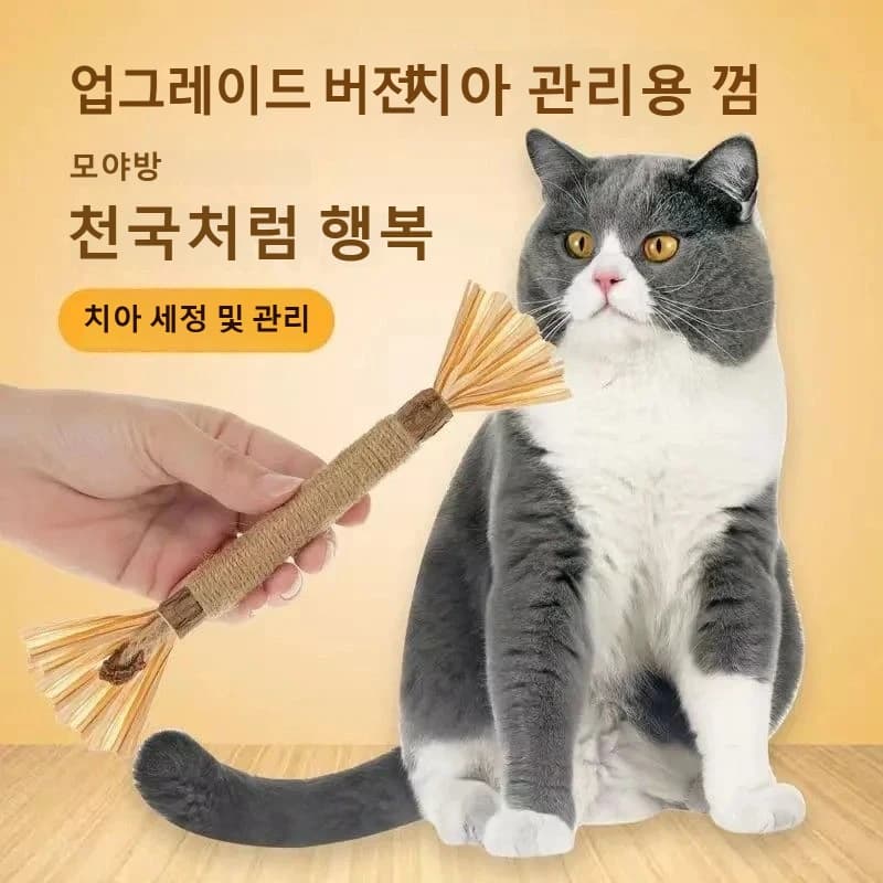 猫咪磨牙棒商品图中文翻译成韩语的结果