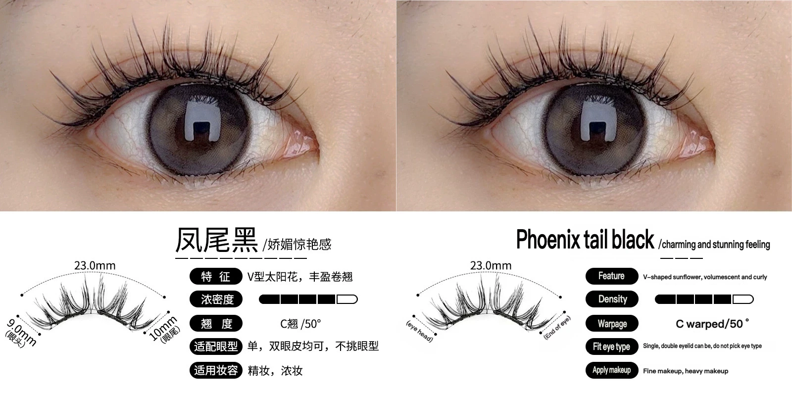 中文转英文图片翻译