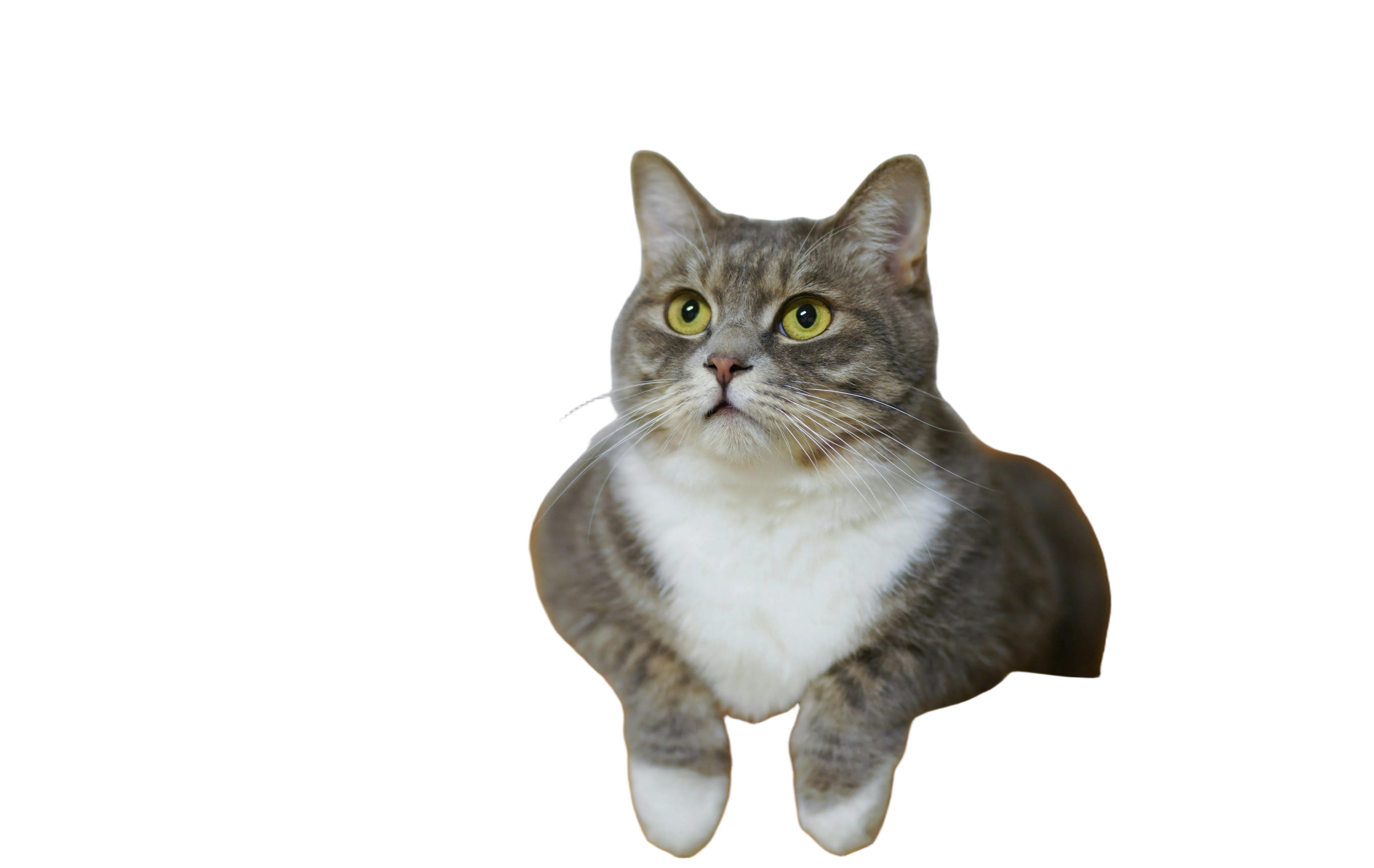 透明背景的PNG图片示例