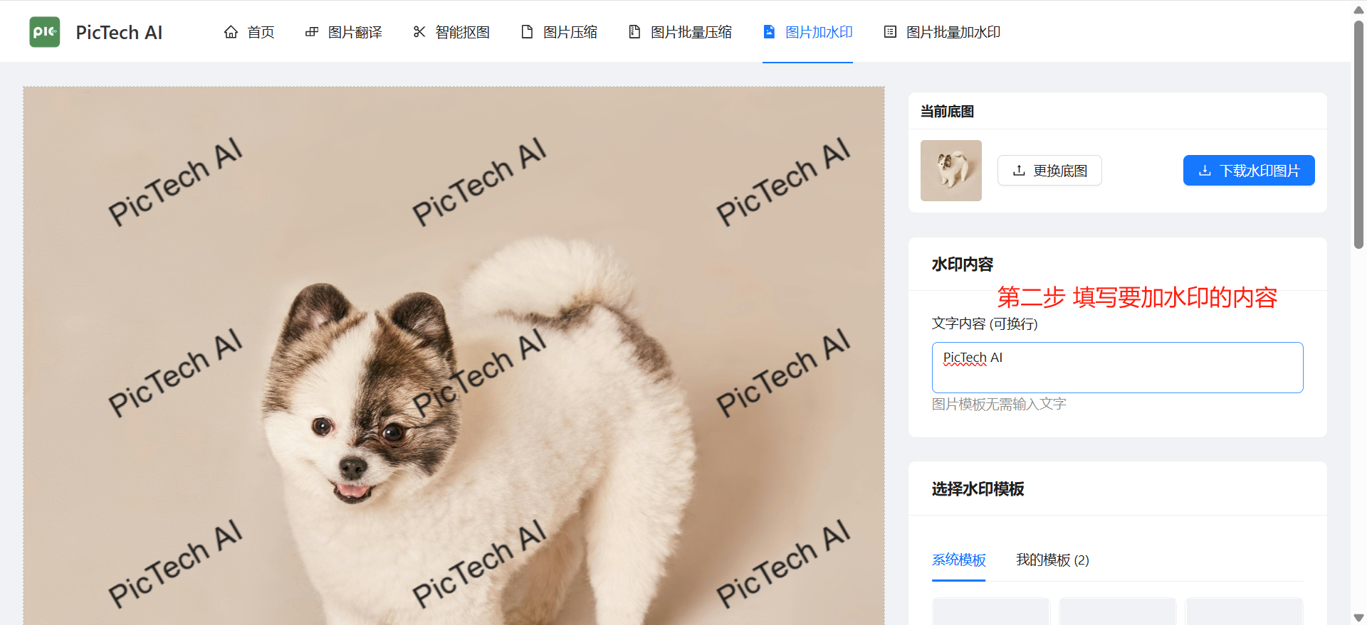 第二步:填写水印文字或图片Logo作为水印
