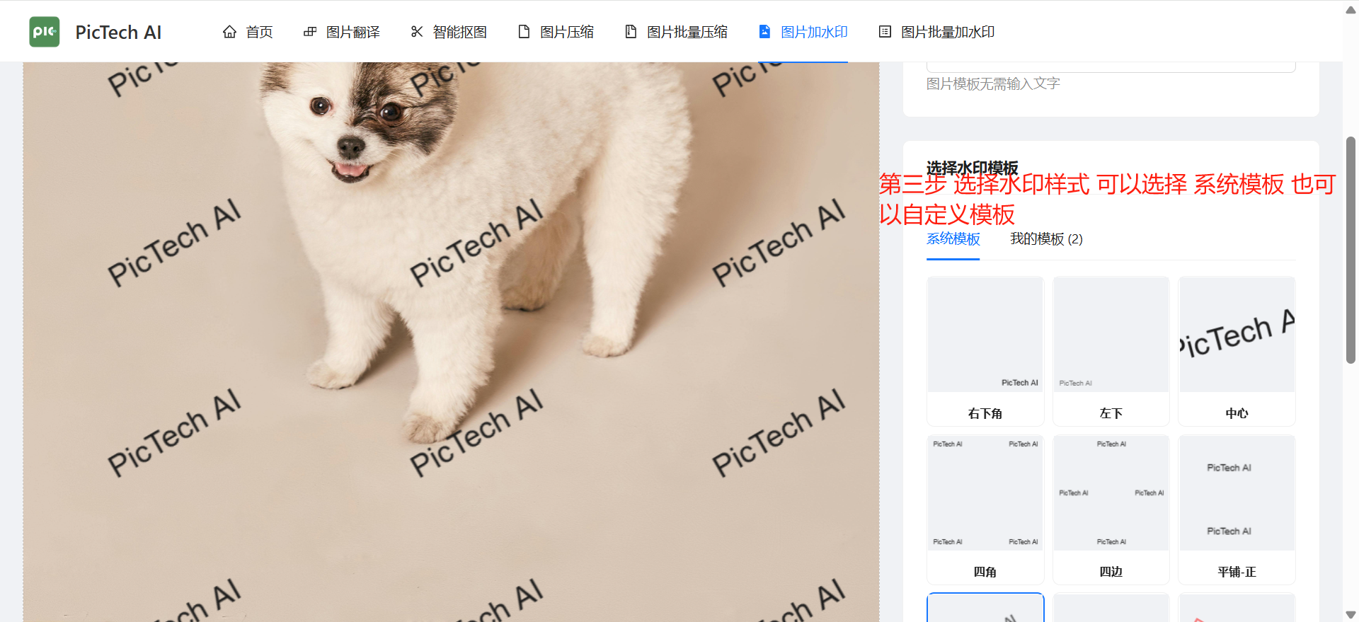 第三步:设置水印样式