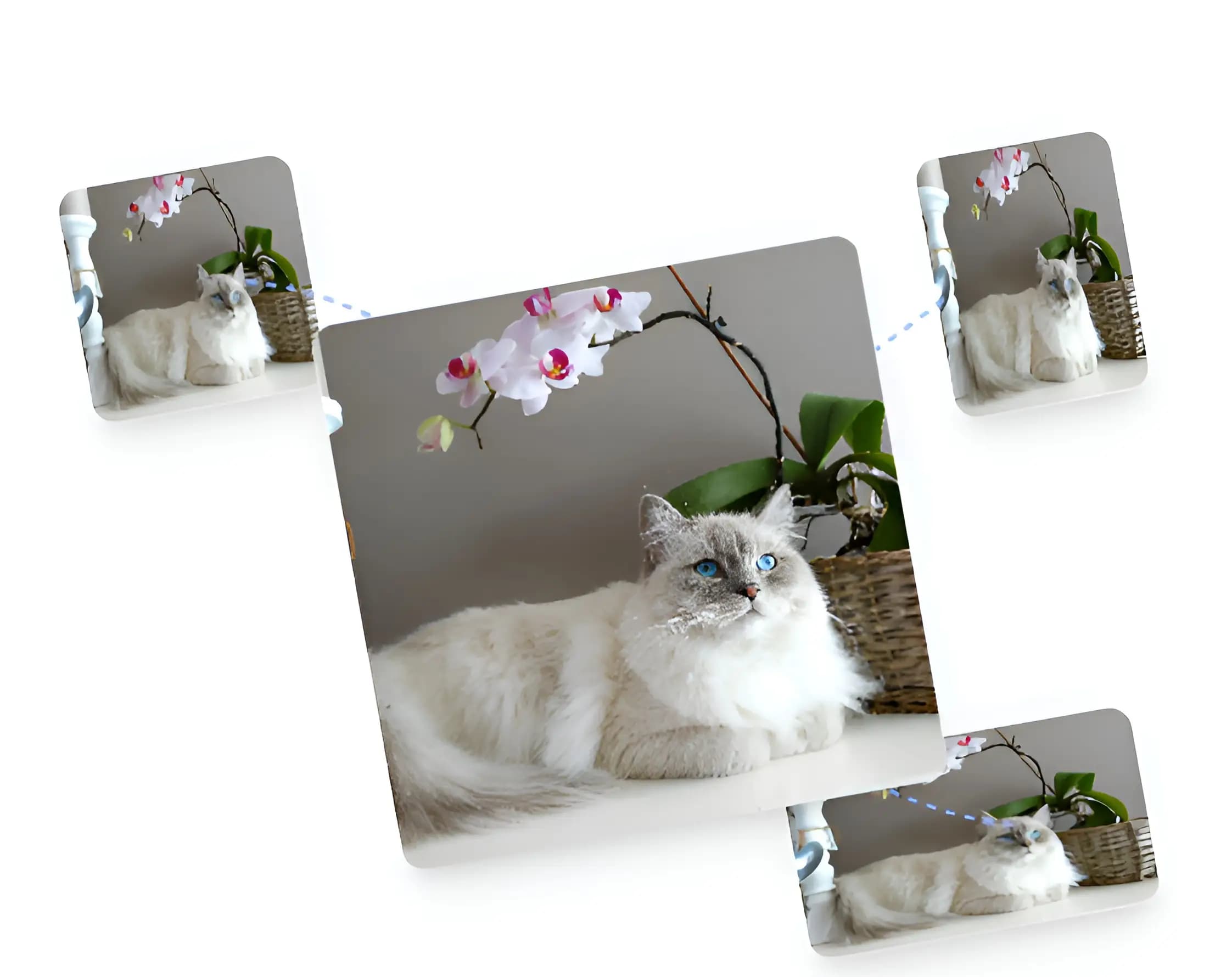 图片像素大小调整