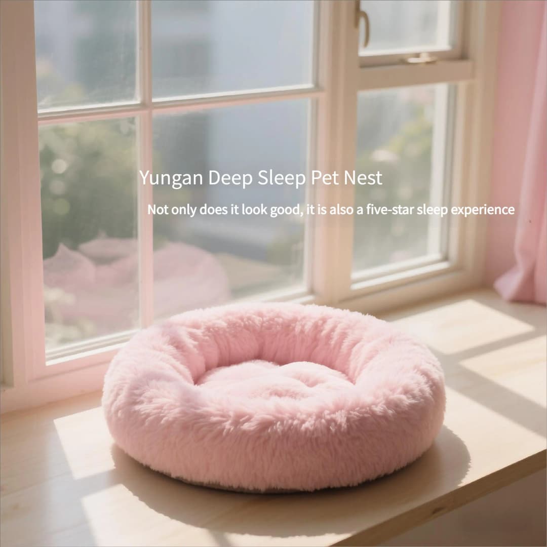 图片翻译功能演示 2