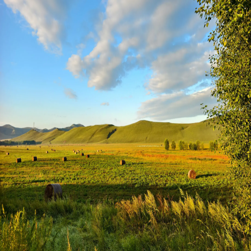 处理完成的风景图