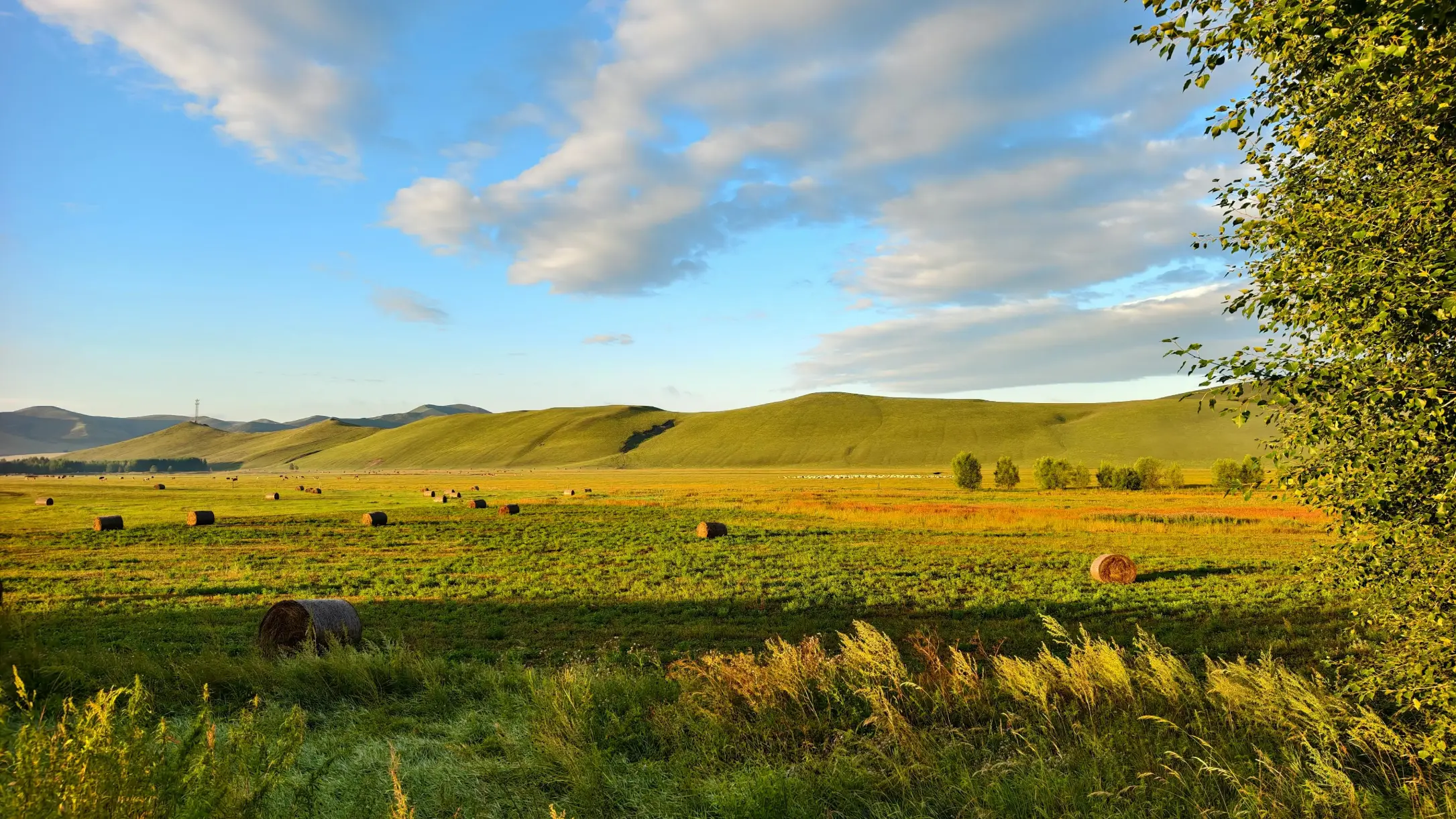 待处理的横向风景图